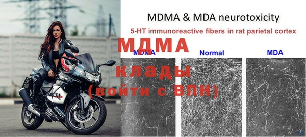 дмт Вяземский